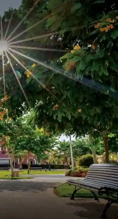 هايد بارك القاهرة الجديدة